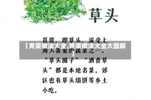 【青菜做法大全,青菜做法大全大图解】