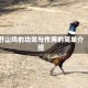 野山鸡的功效与作用的简单介绍