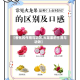 【香蕉的作用与功效,火龙果的作用与功效】