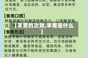 【羊胃的功效,羊胃是什么】