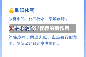 桂芝的功效/桂枝的副作用