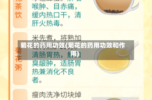 菊花的药用功效(菊花的药用功效和作用)