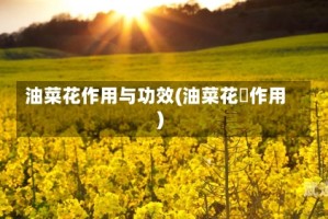 油菜花作用与功效(油菜花枌作用)