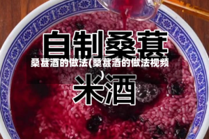 桑葚酒的做法(桑葚酒的做法视频)