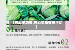 【养心菜功效,养心菜功效与主治】