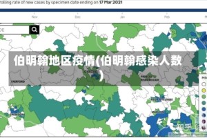 伯明翰地区疫情(伯明翰感染人数)