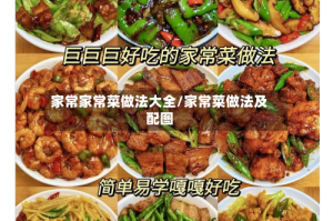 家常家常菜做法大全/家常菜做法及配图
