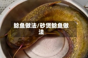 鲶鱼做法/砂煲鲶鱼做法