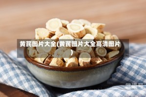 黄芪图片大全(黄芪图片大全高清图片)