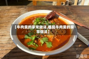 【牛肉羹的家常做法,番茄牛肉羹的家常做法】