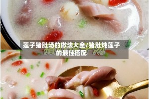 莲子猪肚汤的做法大全/猪肚炖莲子的最佳搭配
