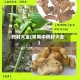 药材大全(常用中药材大全)