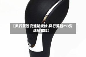 【风行菱智变速箱大修,风行菱智m3变速箱故障】