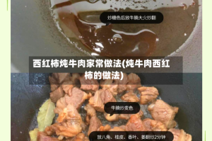 西红柿炖牛肉家常做法(炖牛肉西红柿的做法)