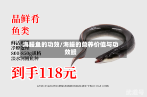 海鳗鱼的功效/海鳗的营养价值与功效鳗