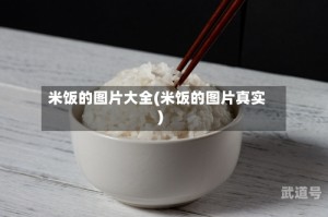 米饭的图片大全(米饭的图片真实)