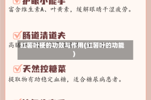 红薯叶梗的功效与作用(红薯叶的功能)