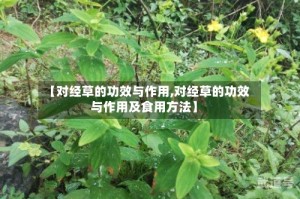 【对经草的功效与作用,对经草的功效与作用及食用方法】