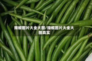 辣椒图片大全大图/辣椒图片大全大图真实