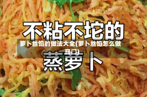 萝卜丝馅的做法大全(萝卜丝馅怎么做窍门)