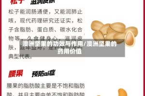 澳洲坚果的功效与作用/澳洲坚果的药用价值