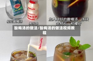 酸梅汤的做法/酸梅汤的做法视频教程