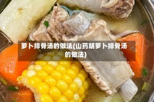 萝卜排骨汤的做法(山药胡萝卜排骨汤的做法)