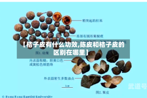 【桔子皮有什么功效,陈皮和桔子皮的区别在哪里】