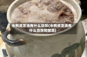 水鸭灵芝汤有什么功效(水鸭灵芝汤有什么功效和禁忌)