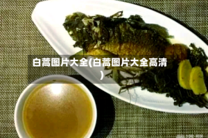 白蒿图片大全(白蒿图片大全高清)