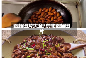 蚕蛹图片大全/东北蚕蛹图片