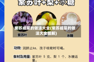 紫苏咸菜的做法大全(紫苏咸菜的做法大全图解)