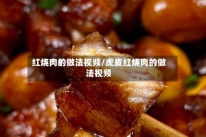 红烧肉的做法视频/虎皮红烧肉的做法视频