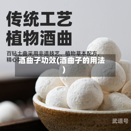 酒曲子功效(酒曲子的用法)-第2张图片