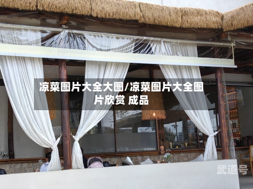 凉菜图片大全大图/凉菜图片大全图片欣赏 成品-第2张图片