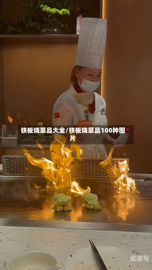 铁板烧菜品大全/铁板烧菜品100种图片-第1张图片