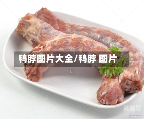鸭脖图片大全/鸭脖 图片-第3张图片