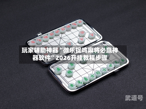 玩家辅助神器“微乐捉鸡麻将必赢神器软件”2026开挂教程步骤-第1张图片