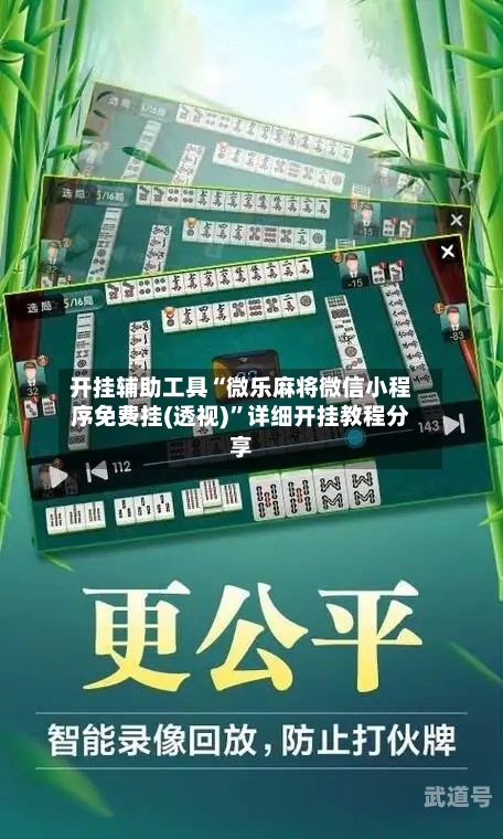 开挂辅助工具“微乐麻将微信小程序免费挂(透视)	”详细开挂教程分享-第2张图片