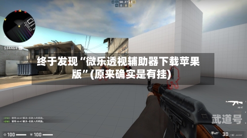 终于发现“微乐透视辅助器下载苹果版”(原来确实是有挂)-第2张图片