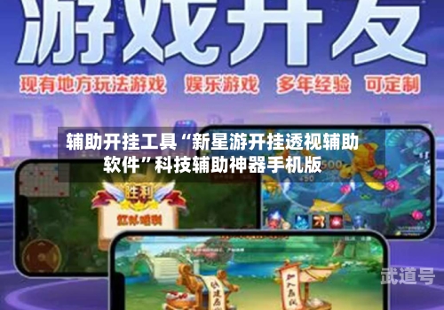 辅助开挂工具“新星游开挂透视辅助软件”科技辅助神器手机版-第2张图片