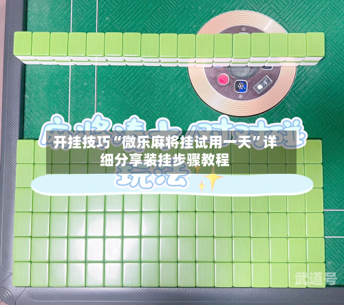 开挂技巧“微乐麻将挂试用一天”详细分享装挂步骤教程-第3张图片