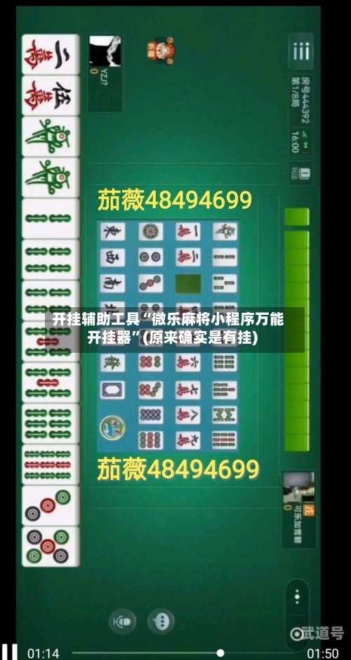开挂辅助工具“微乐麻将小程序万能开挂器”(原来确实是有挂)-第2张图片