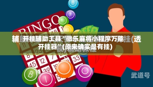 开挂辅助工具“微乐麻将小程序万能开挂器	”(原来确实是有挂)-第1张图片