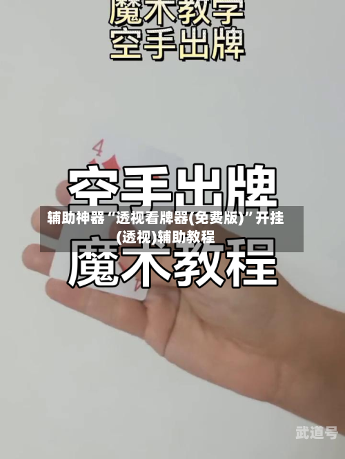 辅助神器“透视看牌器(免费版)	”开挂(透视)辅助教程-第1张图片