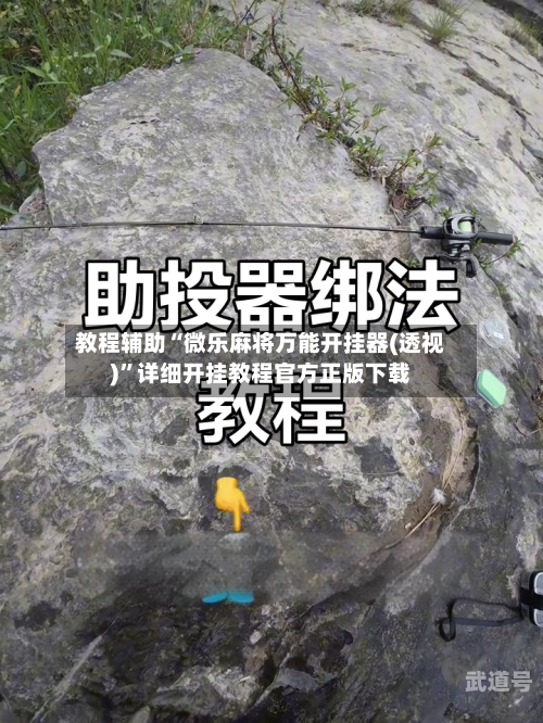 教程辅助“微乐麻将万能开挂器(透视)	”详细开挂教程官方正版下载-第2张图片