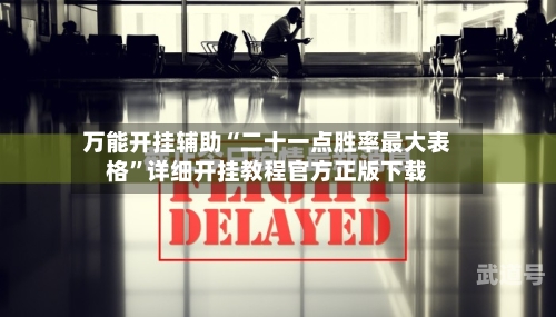 万能开挂辅助“二十一点胜率最大表格	”详细开挂教程官方正版下载-第2张图片