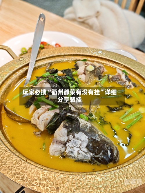 玩家必搜“衢州都菜有没有挂”详细分享装挂-第1张图片