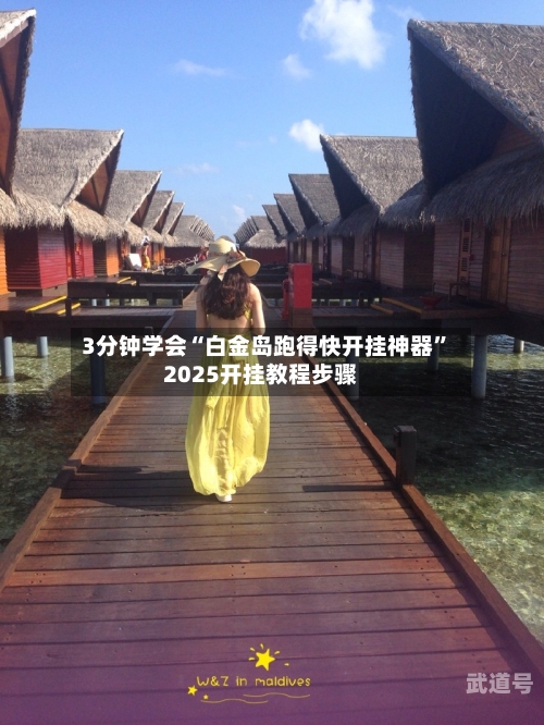 3分钟学会“白金岛跑得快开挂神器	”2025开挂教程步骤-第1张图片