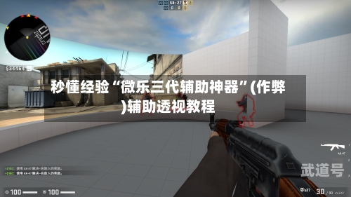 秒懂经验“微乐三代辅助神器”(作弊)辅助透视教程-第3张图片